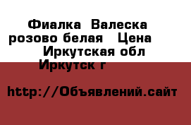 Фиалка “Валеска“, розово-белая › Цена ­ 160 - Иркутская обл., Иркутск г.  »    